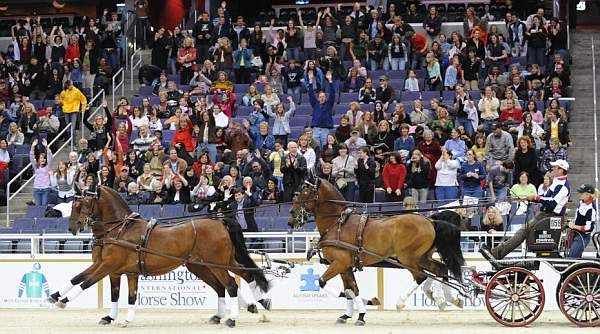 ChesterWeber-Jamaica-10-24-08-WIHS-767-DeRosaPhoto