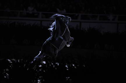 10-24-08-WIHS-1001-DeRosaPhoto.jpg
