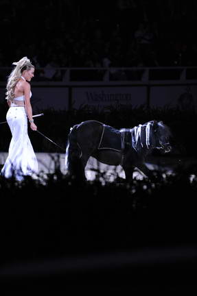 10-24-08-WIHS-1011-DeRosaPhoto.jpg