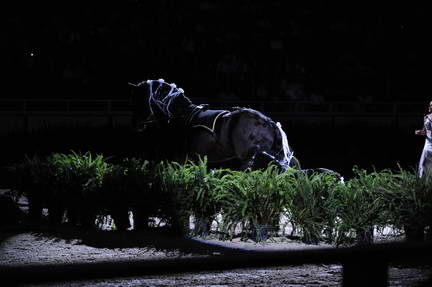 10-24-08-WIHS-917-DeRosaPhoto.jpg