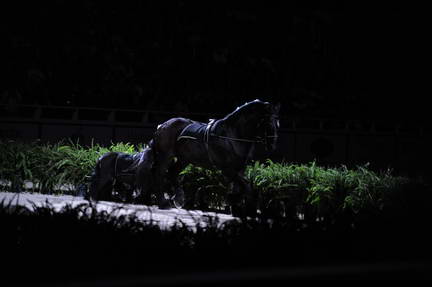 10-24-08-WIHS-921-DeRosaPhoto.jpg