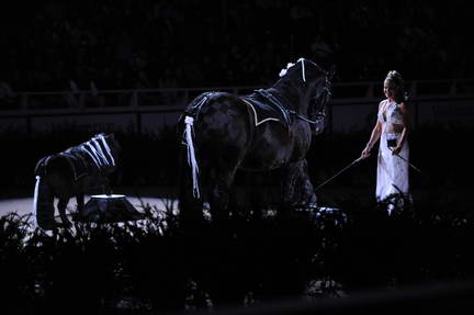 10-24-08-WIHS-955-DeRosaPhoto.jpg