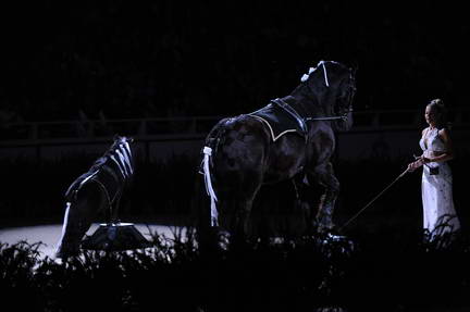 10-24-08-WIHS-959-DeRosaPhoto.jpg