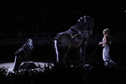 10-24-08-WIHS-960-DeRosaPhoto.jpg