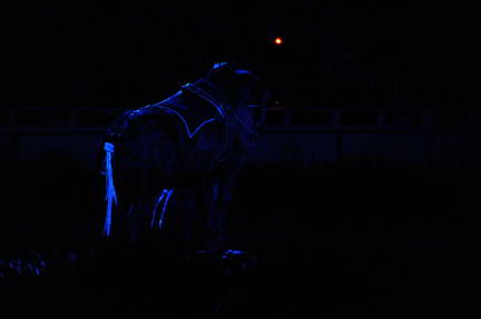 10-24-08-WIHS-965-DeRosaPhoto.jpg