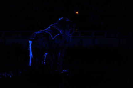 10-24-08-WIHS-966-DeRosaPhoto.jpg