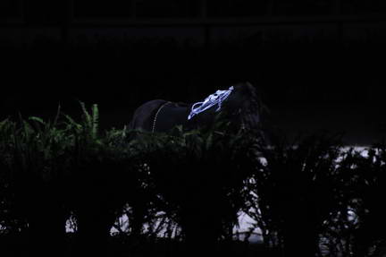 10-24-08-WIHS-968-DeRosaPhoto.jpg