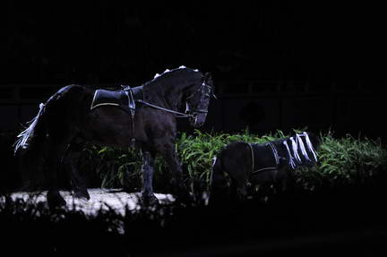 10-24-08-WIHS-980-DeRosaPhoto.jpg