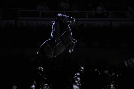 10-24-08-WIHS-995-DeRosaPhoto.jpg