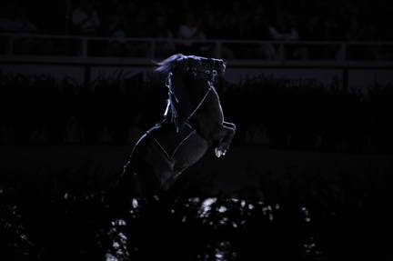 10-24-08-WIHS-998-DeRosaPhoto.jpg