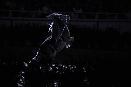 10-24-08-WIHS-999-DeRosaPhoto.jpg