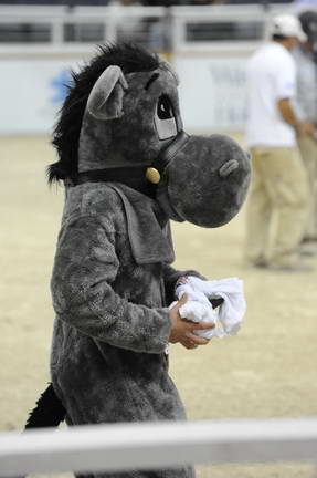 10-24-08-WIHS-1016-DeRosaPhoto.jpg