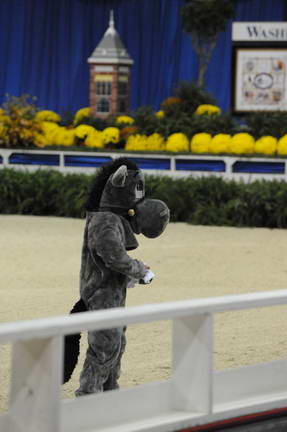10-24-08-WIHS-1025-DeRosaPhoto.jpg