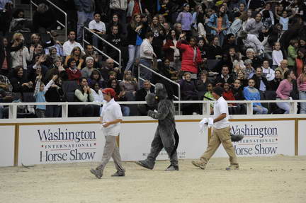 10-24-08-WIHS-1032-DeRosaPhoto.jpg