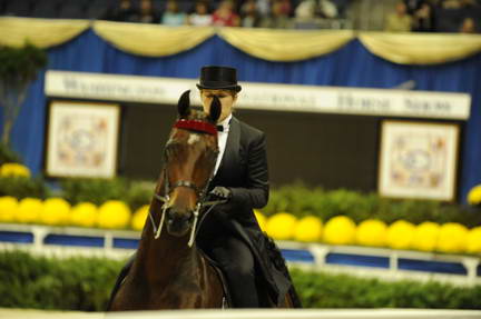 10-24-08-WIHS-509-DeRosaPhoto.jpg