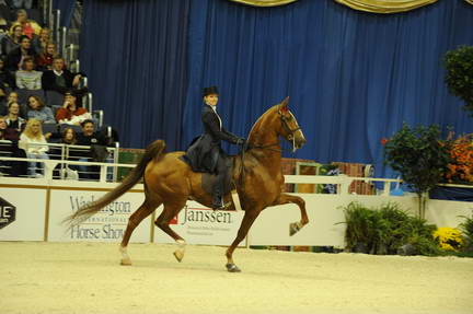 10-24-08-WIHS-512-DeRosaPhoto.jpg