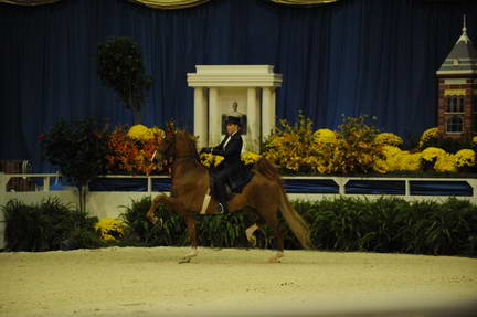 10-24-08-WIHS-537-DeRosaPhoto.jpg