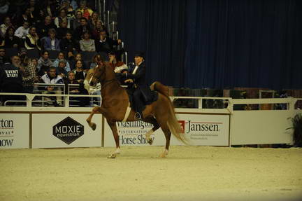 10-24-08-WIHS-541-DeRosaPhoto.jpg