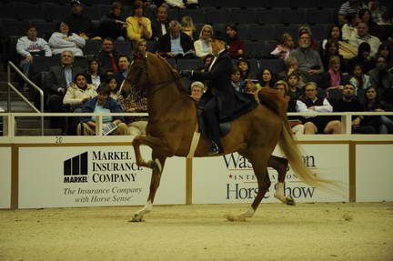 10-24-08-WIHS-546-DeRosaPhoto.jpg