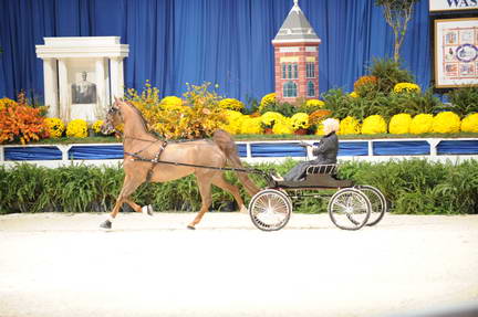 10-24-08-WIHS-548-DeRosaPhoto.jpg