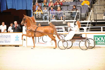 10-24-08-WIHS-551-DeRosaPhoto.jpg