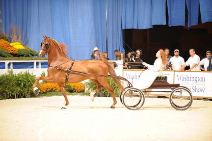 10-24-08-WIHS-559-DeRosaPhoto.jpg