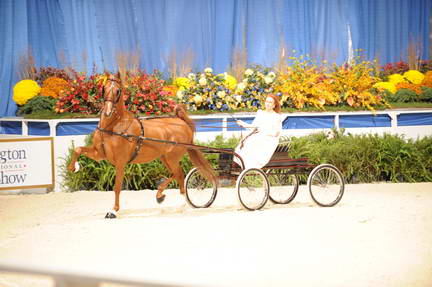 10-24-08-WIHS-565-DeRosaPhoto.jpg