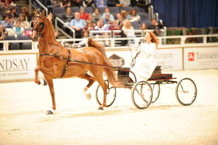 10-24-08-WIHS-571-DeRosaPhoto.jpg