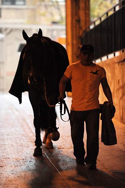 WIHS08-10-25-Setup-290-DDeRosaPhoto