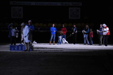 10-24-08-WIHS-1050-DeRosaPhoto.jpg