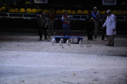 10-24-08-WIHS-1057-DeRosaPhoto.jpg