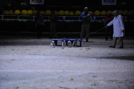 10-24-08-WIHS-1068-DeRosaPhoto.jpg