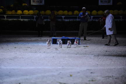 10-24-08-WIHS-1070-DeRosaPhoto.jpg