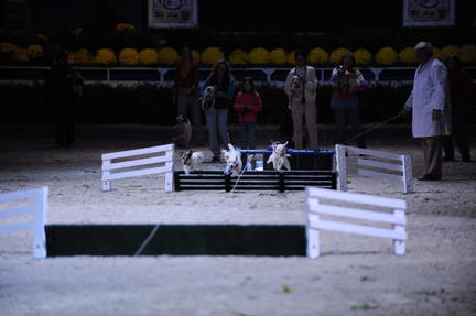 10-24-08-WIHS-1082-DeRosaPhoto.jpg