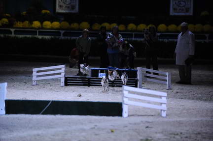 10-24-08-WIHS-1093-DeRosaPhoto.jpg