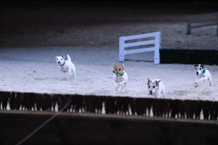 10-24-08-WIHS-1100-DeRosaPhoto.jpg