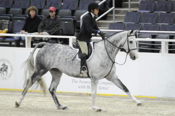 WIHS-10-21-09-DSC_1355-Venlo-HavensSchatt-DDeRosaPhoto.jpg