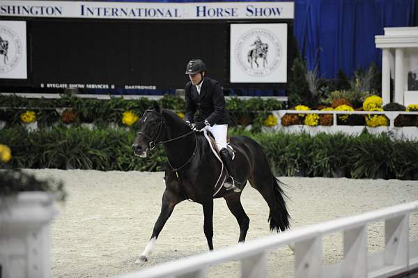 WIHS-10-21-09-DSC_1877-Declaration-ScottStewart-DDeRosaPhoto.jpg