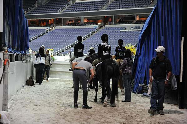 WIHS-10-24-09-DSC_9013-AroundGroundsInside-DDeRosaPhoto.jpg