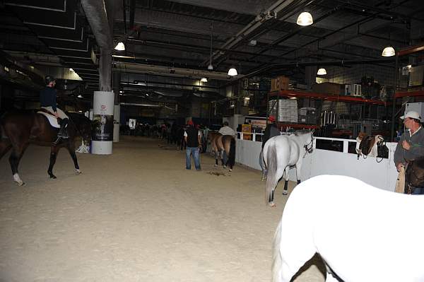 WIHS-10-24-10-DSC_8930-AroundGrounds-Indoors-DDeRosaPhoto.jpg