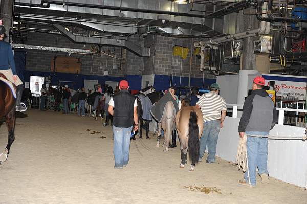 WIHS-10-24-10-DSC_8931-AroundGrounds-Indoors-DDeRosaPhoto.jpg