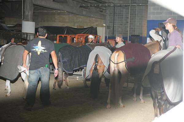 WIHS-10-24-10-DSC_9005-AroundGrounds-Indoors-DDeRosaPhoto.jpg
