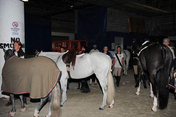 WIHS-10-24-10-DSC_9119-AroundGrounds-Indoors-DDeRosaPhoto.jpg