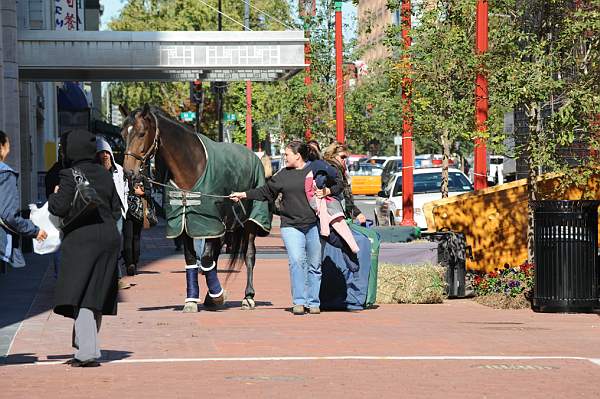 WIHS-10-19-09-421-AroundGroundsOutside-DDeRosaPhoto.jpg