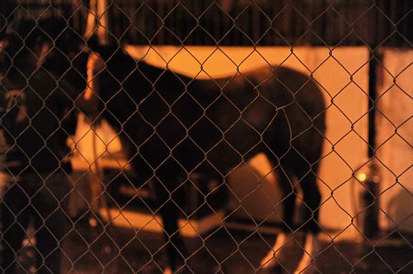 WIHS-10-24-09-DSC_8944-AroundGrounds-Outdoors-DDeRosaPhoto.jpg