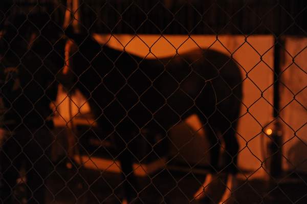 WIHS-10-24-09-DSC_8944-AroundGroundsOutside-DDeRosaPhoto.jpg