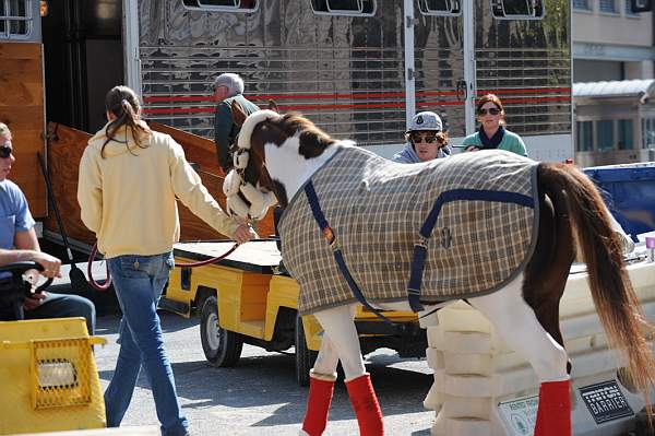 WIHS-10-25-09-DSC_2582-AroundGrounds-Outdoors-DDeRosaPhoto.jpg