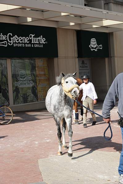 WIHS-10-25-09-DSC_2606-AroundGrounds-Outdoors-DDeRosaPhoto.jpg