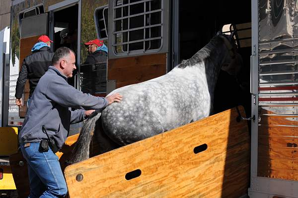 WIHS-10-25-09-DSC_2611-AroundGrounds-Outdoors-DDeRosaPhoto.jpg