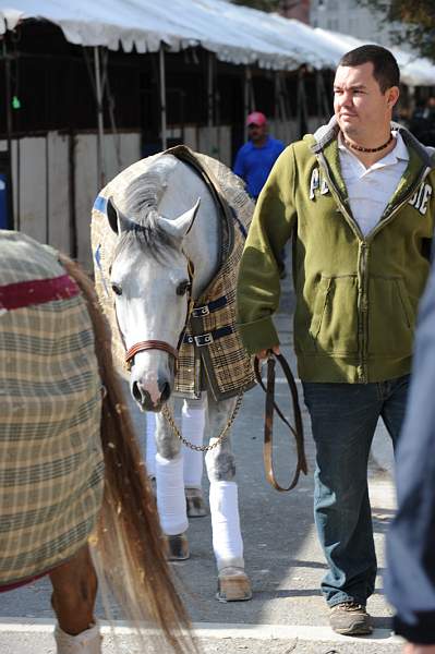 WIHS-10-25-09-DSC_2630-AroundGrounds-Outdoors-DDeRosaPhoto.jpg